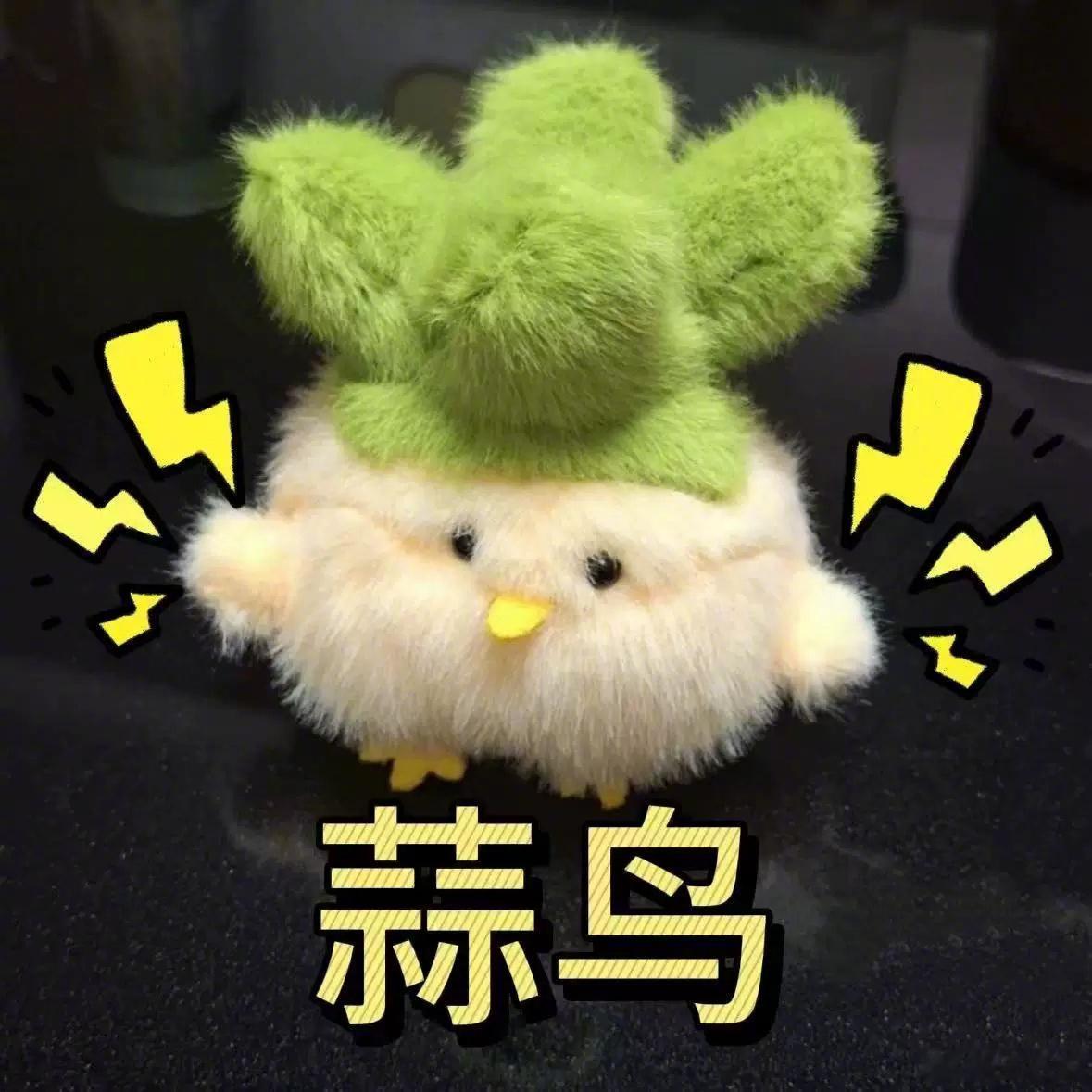 雷军收到YU7车主送的蒜鸟玩偶面对铺天黑稿，雷总也确实是选择“蒜鸟”别人疯狂投