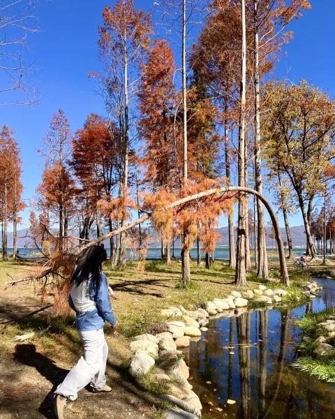 秋天🍂环洱海骑行➕徒步才是大理游玩天花板！对于每年都会来大理的资深玩家来说