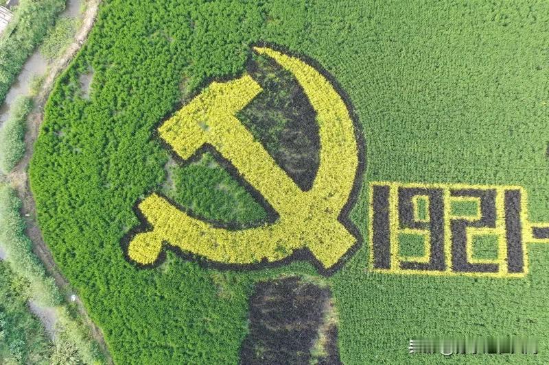 杭州网易大搬迁可是个大新闻！最近它要把约2万名员工迁到上海青浦区赵巷镇，启用“网