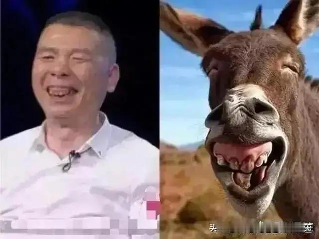 目瞪口呆！！！