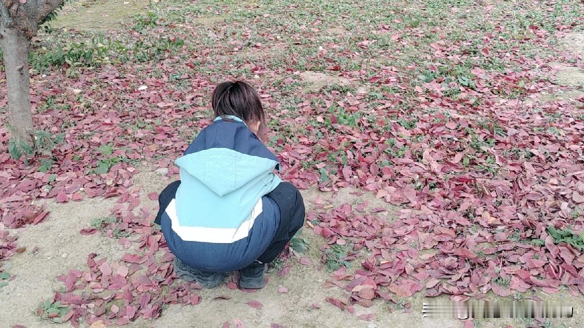 慢慢地也不行啊，真的太累了，难道就不能作业少点，或者在学校里完成吗？刚刚看了
