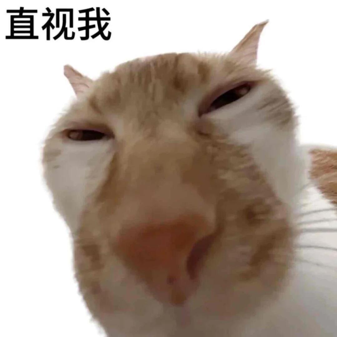 男子离婚分得财产当晚杀害前妻拿到钱了转头给前妻杀害了，潜逃这么多年，每一条拿出来