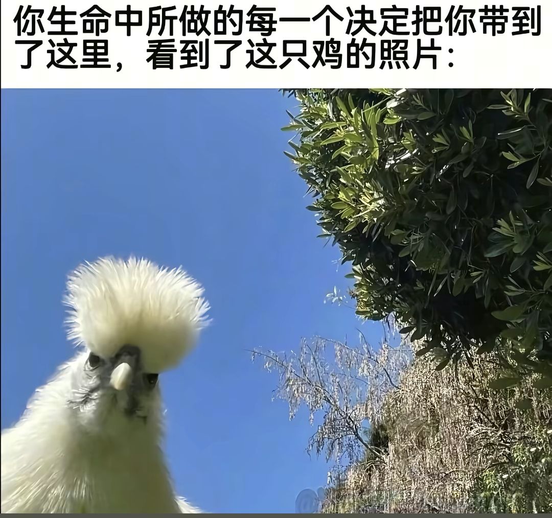 有点淡淡的幽默感