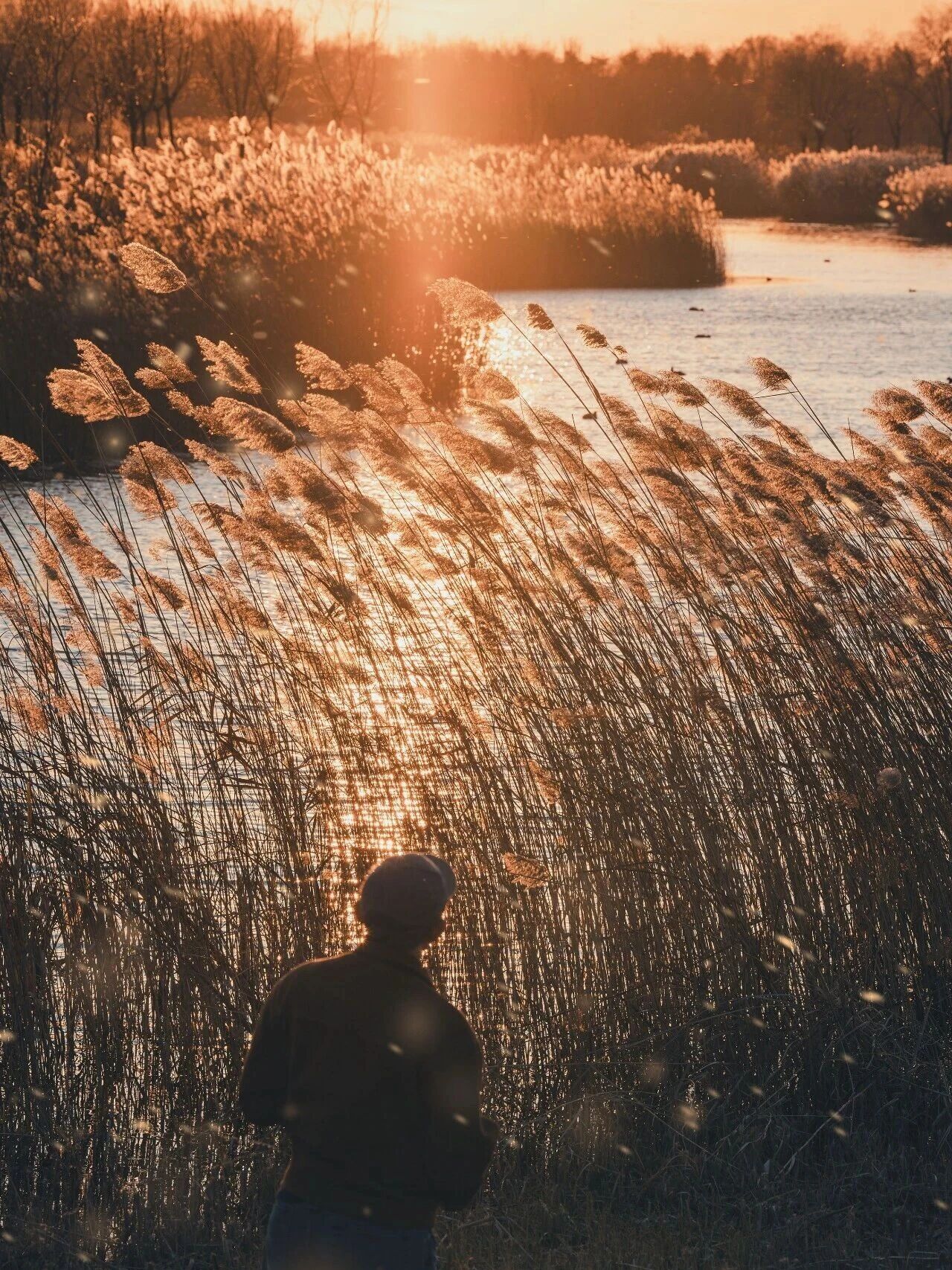 “现在最可怕的是，每个人都在盼着退休，希望尽快衰老，而不是去珍惜自己最年轻的日子
