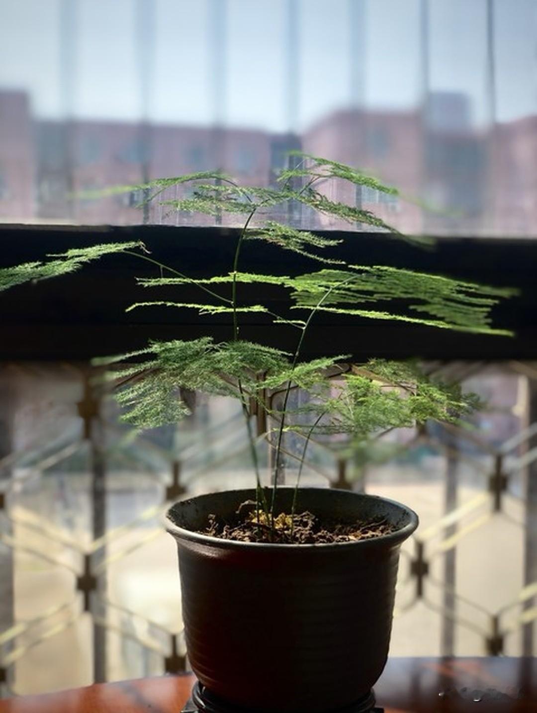 单位一位老同志，这月底就退休了。今天，她特意来我办公室，交给我一个U盘：“我