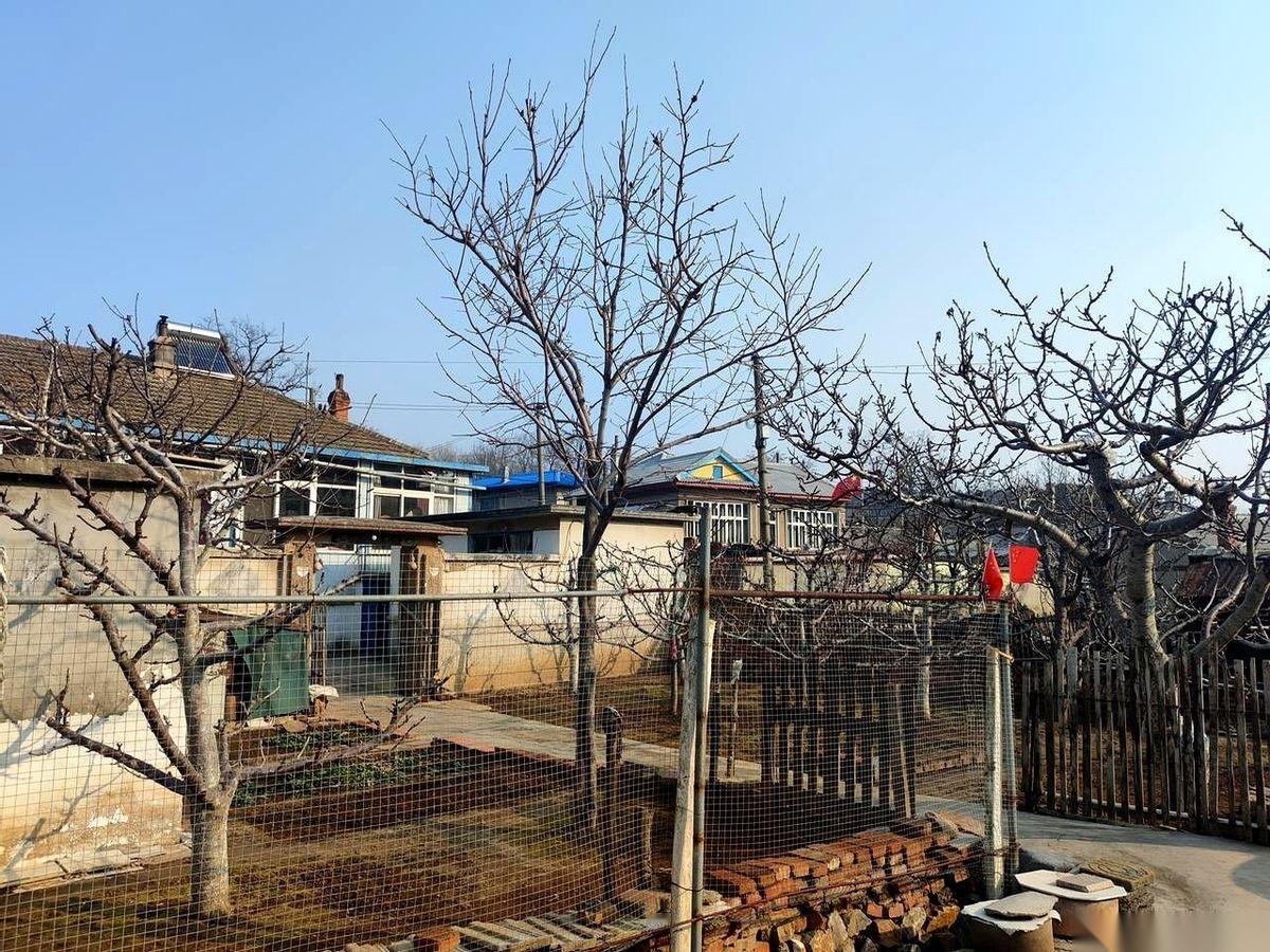 我妈，一个八十多岁的老太太，元旦晚上郑重其事地跟我说：“睡前，去照照镜子。”