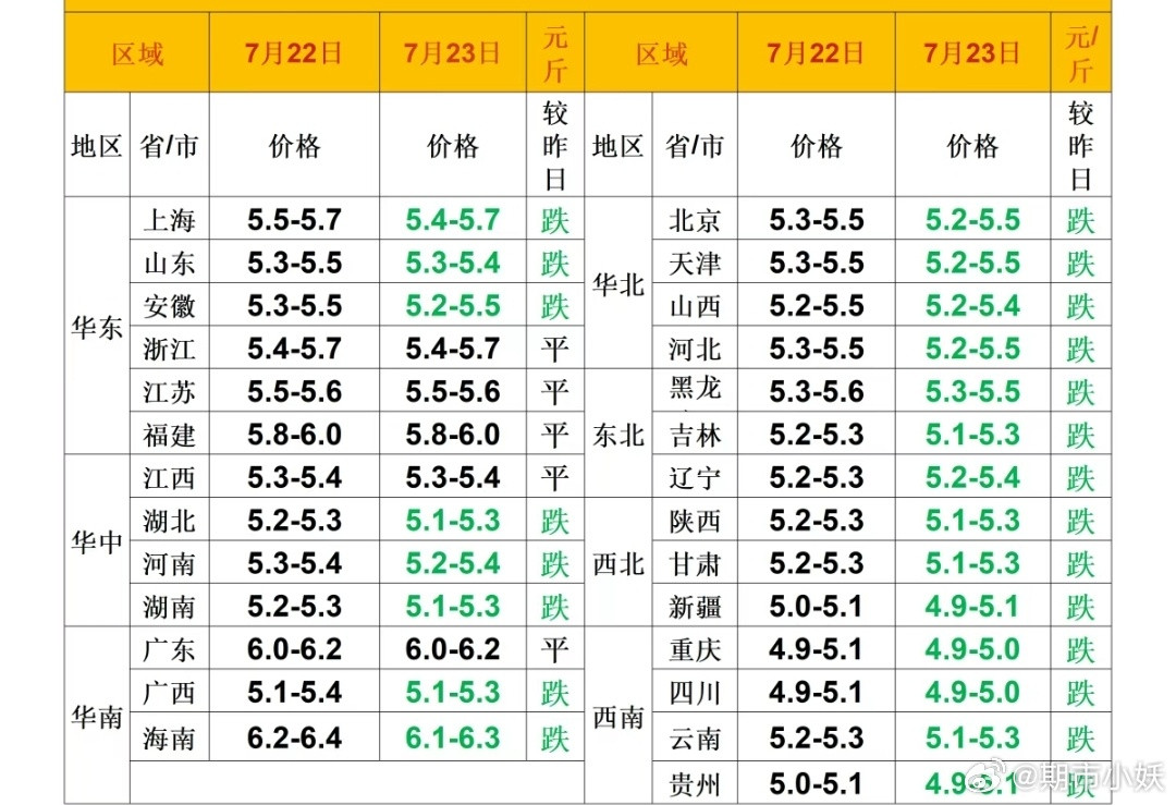 每日猪价