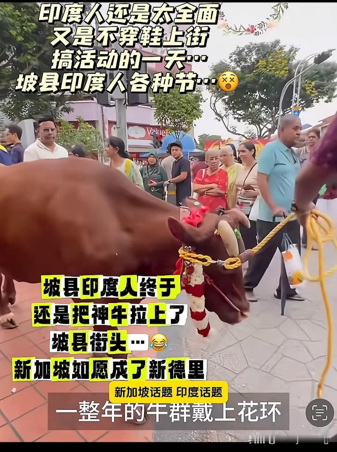 新加坡淡化华人印记，结果印度裔群体崛起，他们在新加坡的影响力逐渐提升，在经济、文