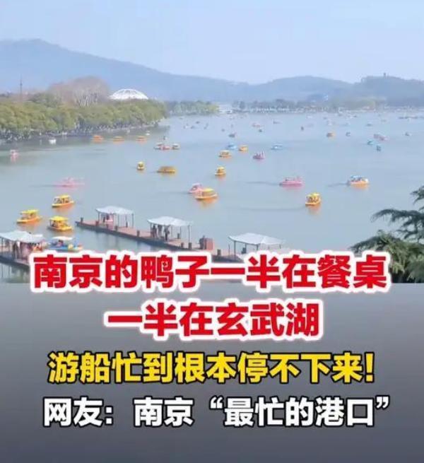 五一假期南京名场面火爆出圈，玄武湖700条鸭子造型游船全部启航，妥妥诠释了那