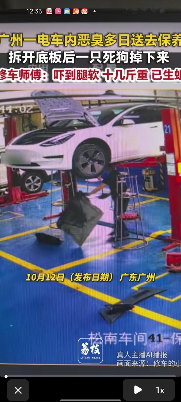 10月11日，广东广州。修车师傅给电车检查异味时，拆开底盘竟发现一只已经腐烂发臭
