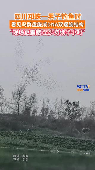 1月12日，四川成都邛崃，一个叫胜师傅的男子正在河塘边钓鱼。突然听到一阵扑棱声，