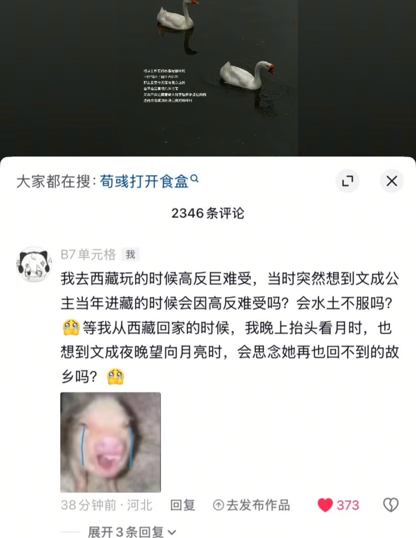 文成公主你肯定也会想家吧​​​