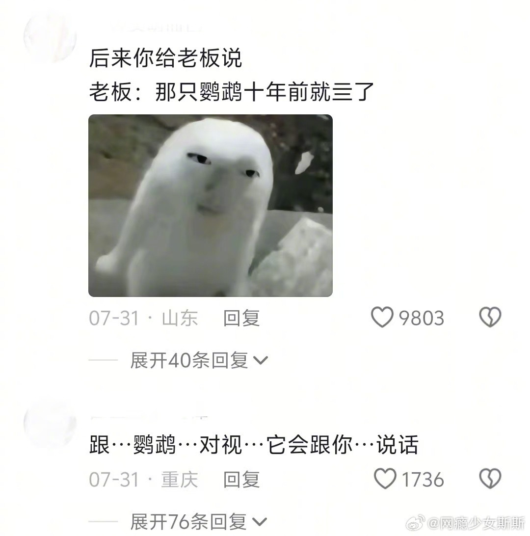 说两句英语给鹦鹉一个措嘴不及