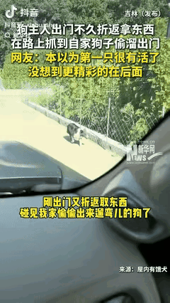 “真成精了！”吉林，狗主人出门把门关好，就怕狗子跑了遇见偷狗人，不料中途忘拿东西