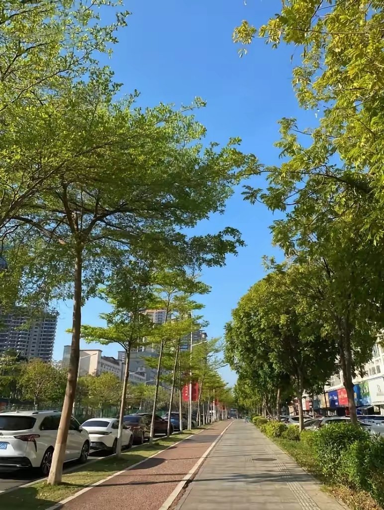 发现了吗？今年的国庆假期与以往有些不同。以往国庆节到了，人们纷纷往外跑，并且是去