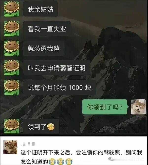 也许真有点弱智吧！​​​