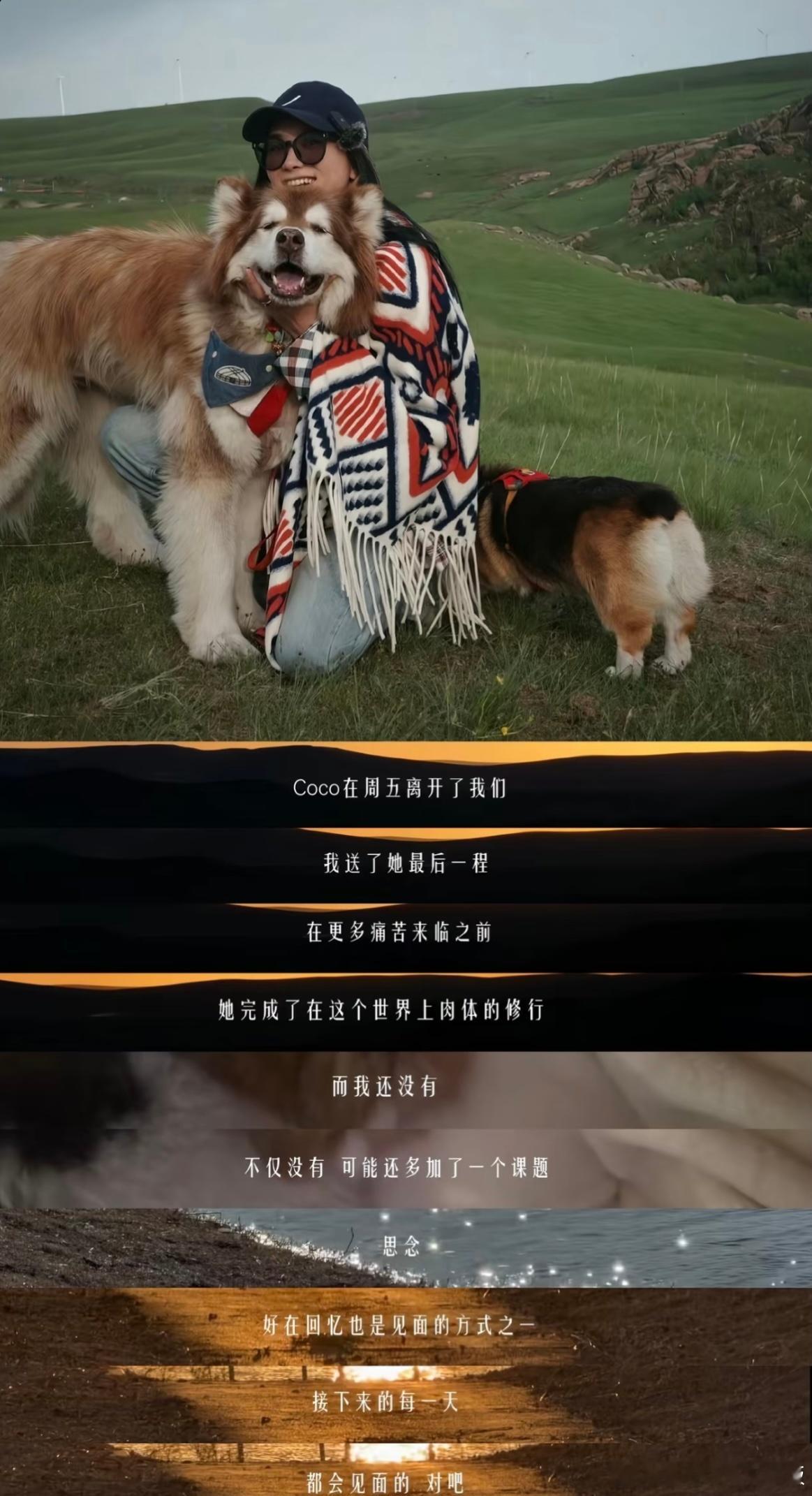 赵子易家的coco也走了。她送了小狗最后一程。去年九月，我却因为无法面对黄金注