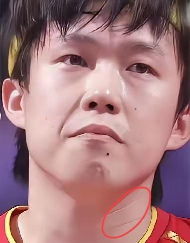 左手冠军，先挨骂再封神。王楚钦12岁被省队嫌“反手软”，直接加练到凌晨；202