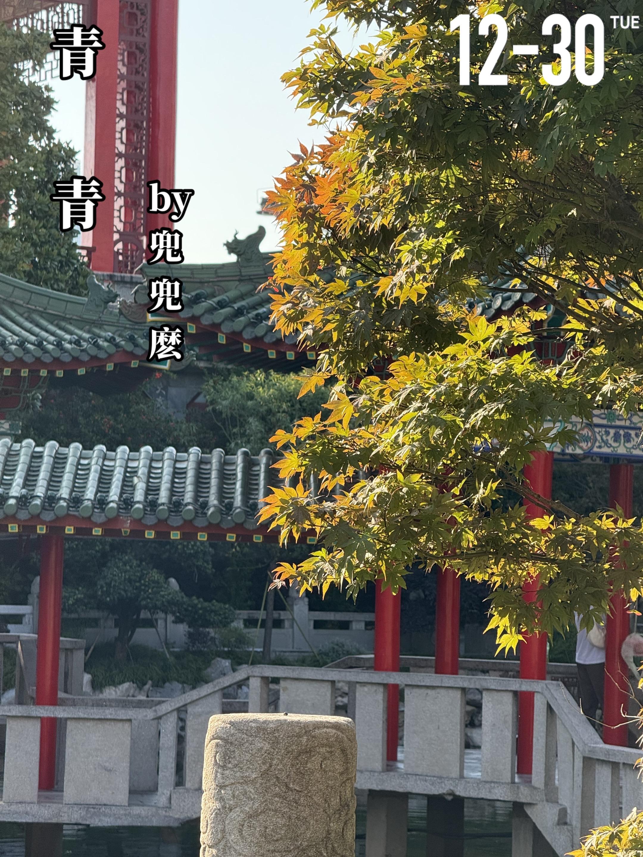 《青青》by兜兜麽。青青（女主）本是高高在上的公主，过着无忧无虑的生活...