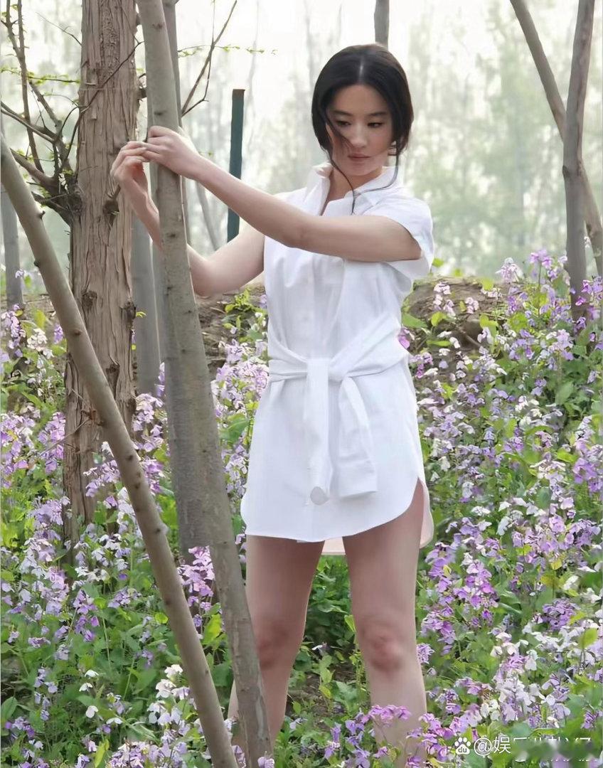 2015年杂志大片里的刘亦菲，玫瑰氛围感拉满，颜值堪称盛世美颜。