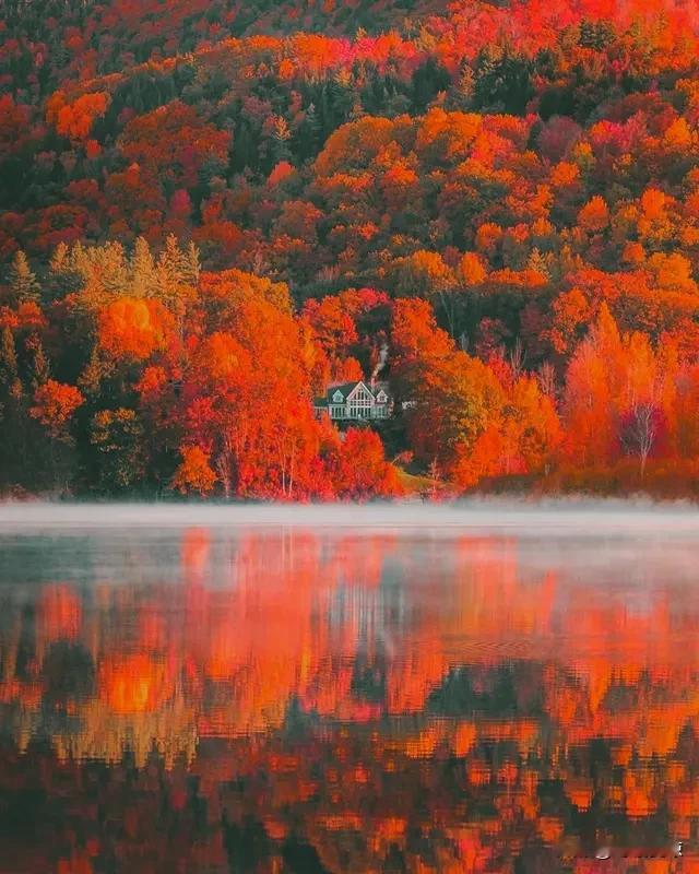 游客置身其中，仿佛走进了一幅流动的画，难怪会留恋不舍。这漫山的红叶似火，红得热烈