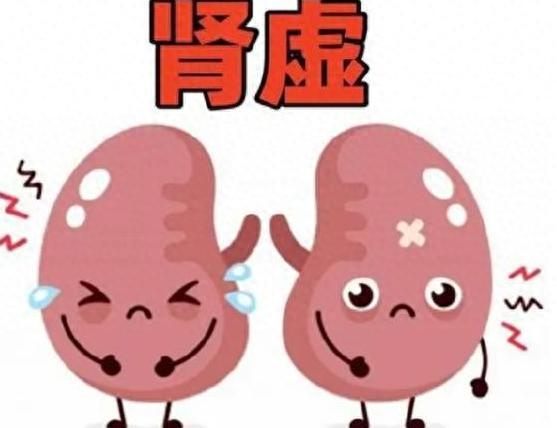 别只盯着二陈汤！张锡纯理痰汤才是祛湿「王炸」，肺、脾、肾同调，清一身老痰湿！大