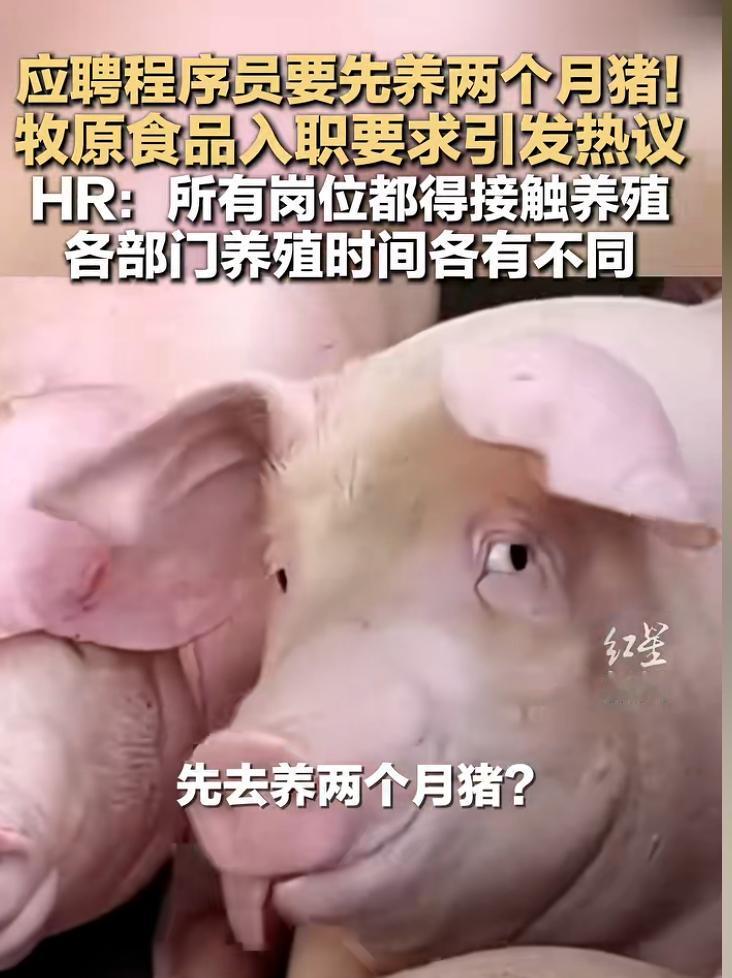 如今职场入职要求越来越另类，原本坐办公室敲代码的程序员，应聘这家企业竟得先体验两