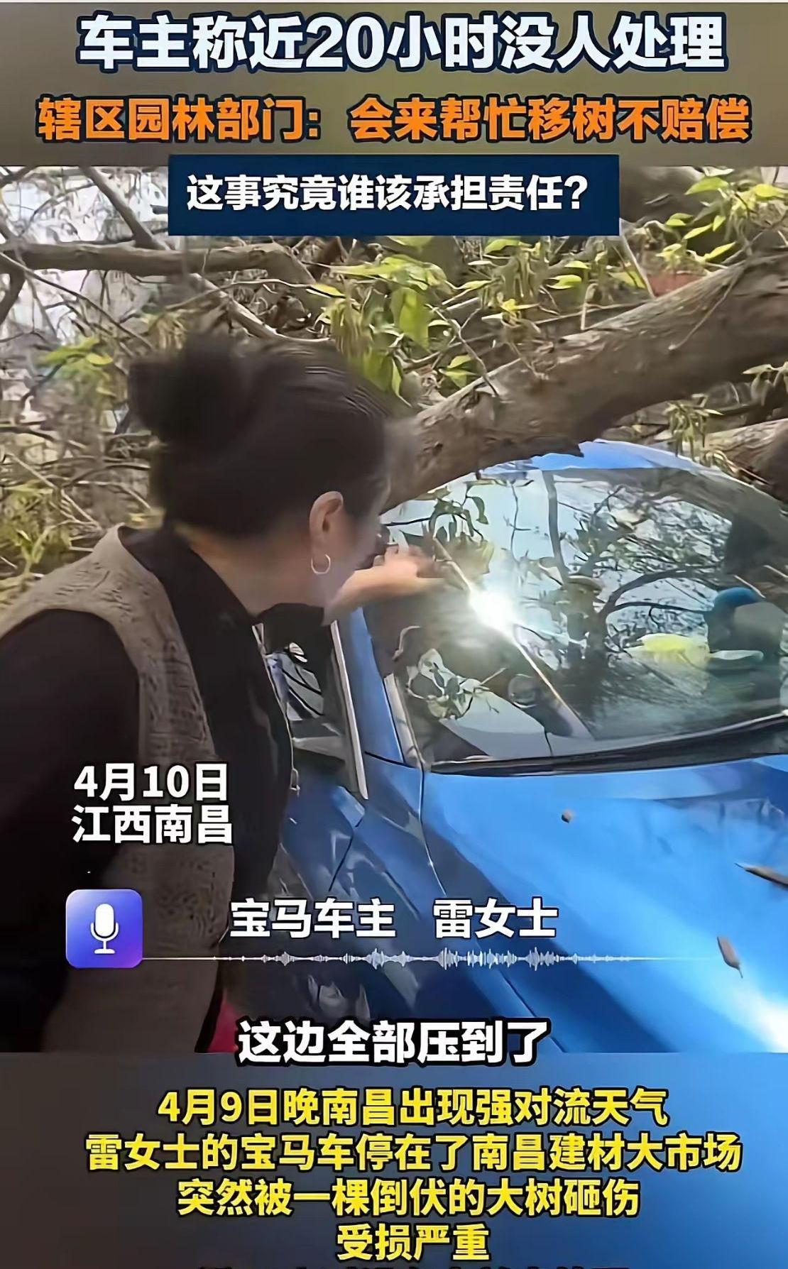 江西南昌，女子把车停在路边，大树倒下压坏保安，将近20小时没人处理，而且园林部门