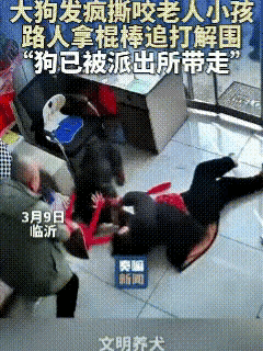 太可怕了！山东临沂的一条街道上一只黑色大狗对着路上一名带孩子的老人发起了猛烈的攻