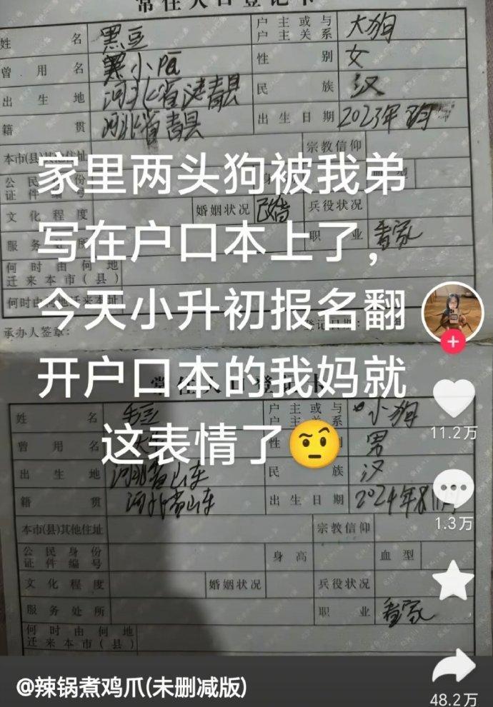狗子：日子怎么可能跟谁过都一样[doge]​​​​