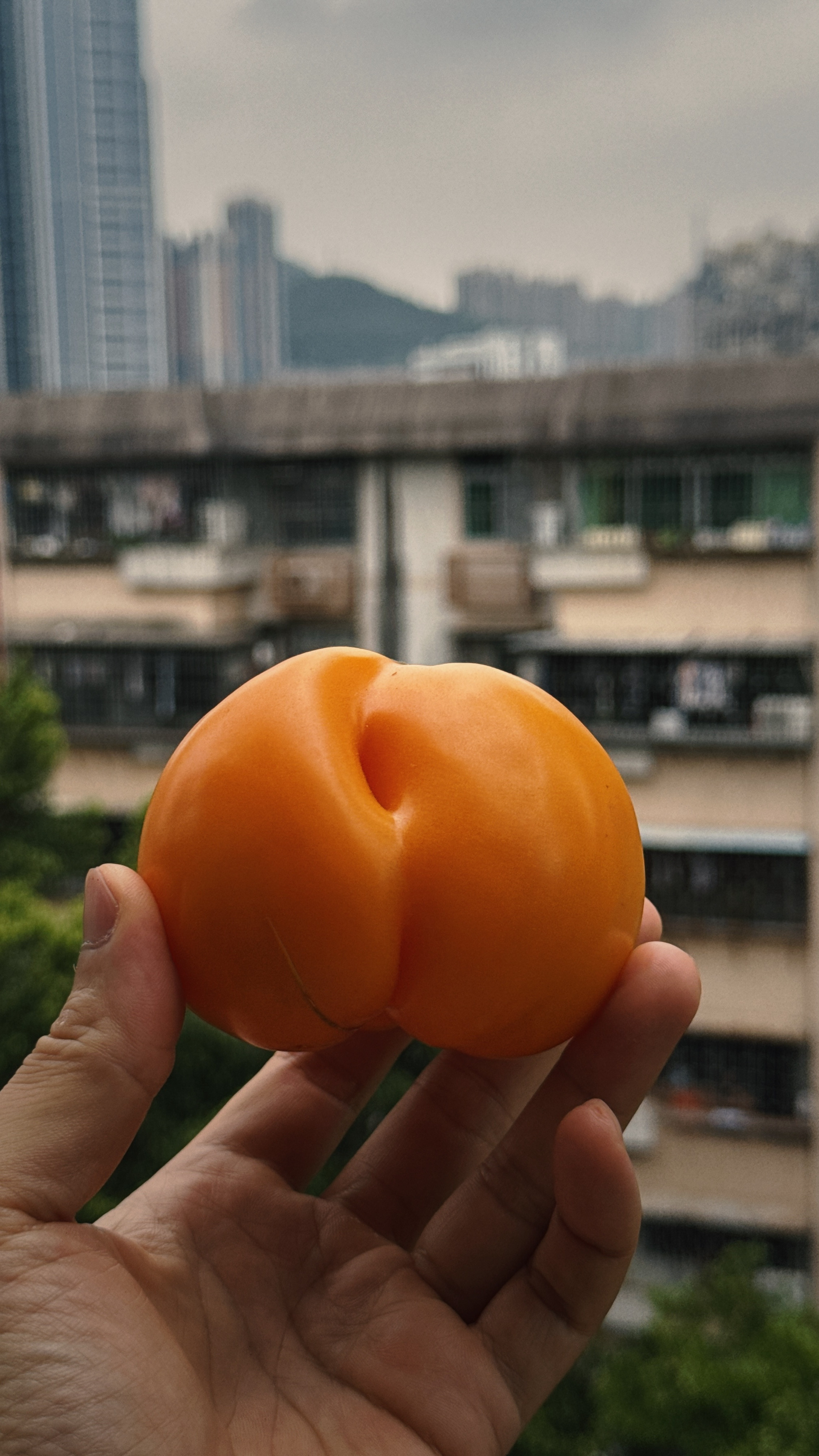 罗湖下午。