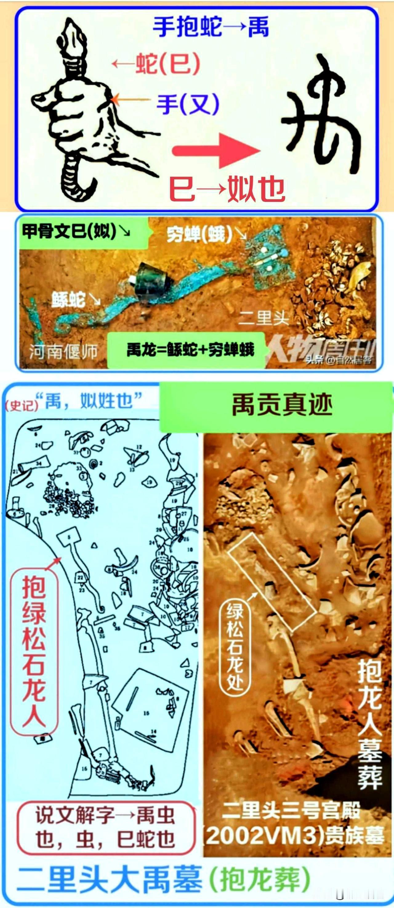 青铜鼎是夏代王权国家象征，其中九鼎，根据左传记载：“夏后启命蜚廉折金于山中，陶铸