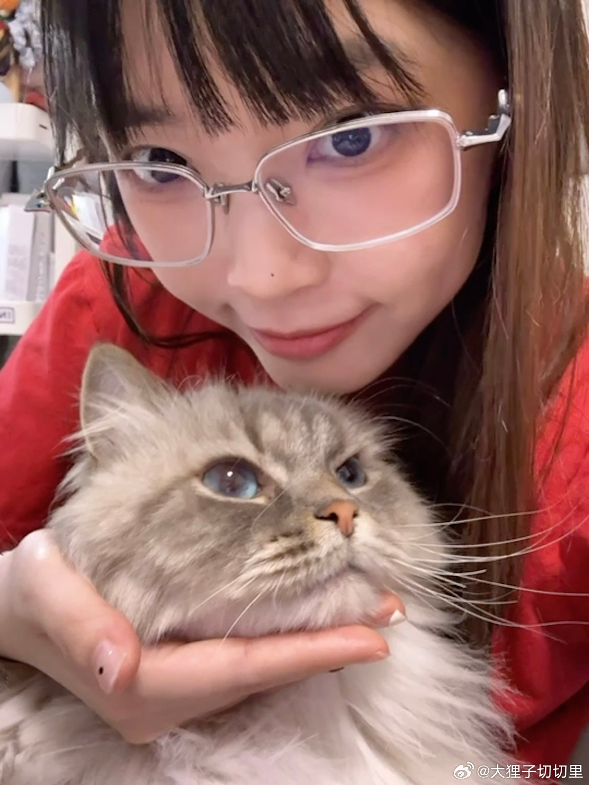 洗完澡的猫猫，太香了，猛猛吸猫！