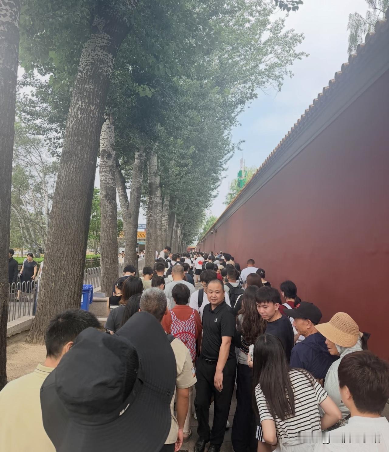 今年不想带娃出去了，到处排队，门票更是一坨大的开支，去了不进去说不过去，进去了