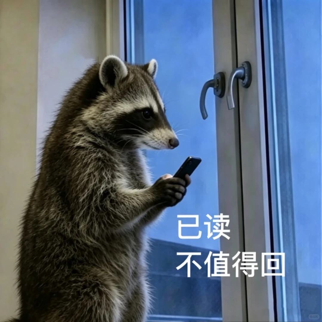 最近很火的负鼠表情包，笑鼠我了