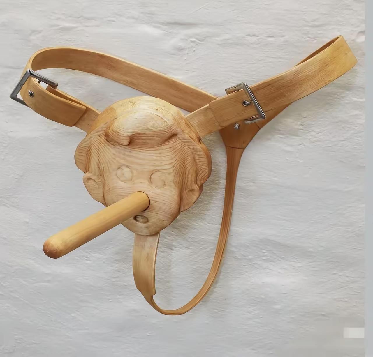 大家能猜出来这是啥玩意，干嘛用的。