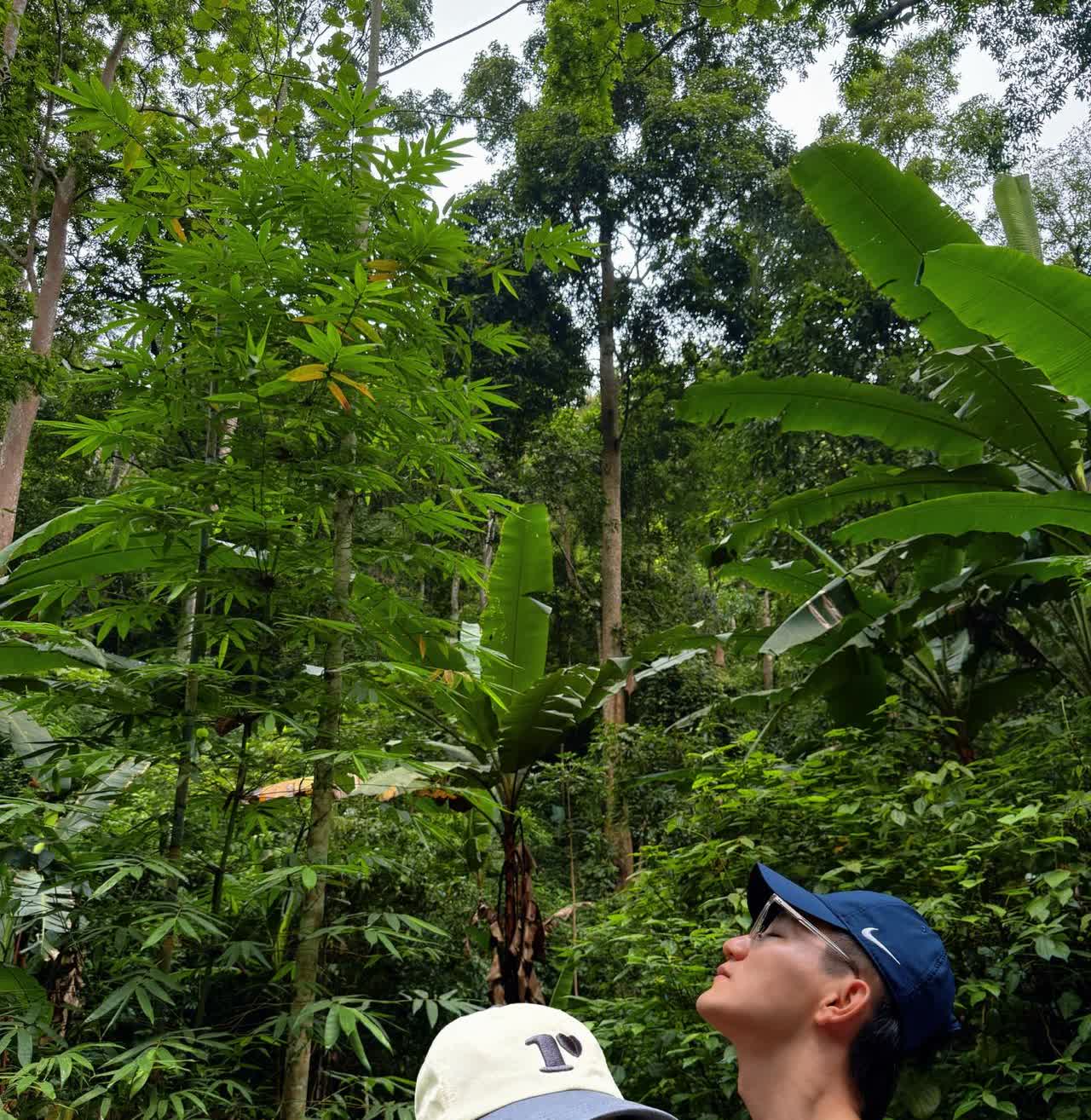 张馨予这哪是去云南旅游的，她分明是去西双版纳给大家专门晒定制款狗粮的！