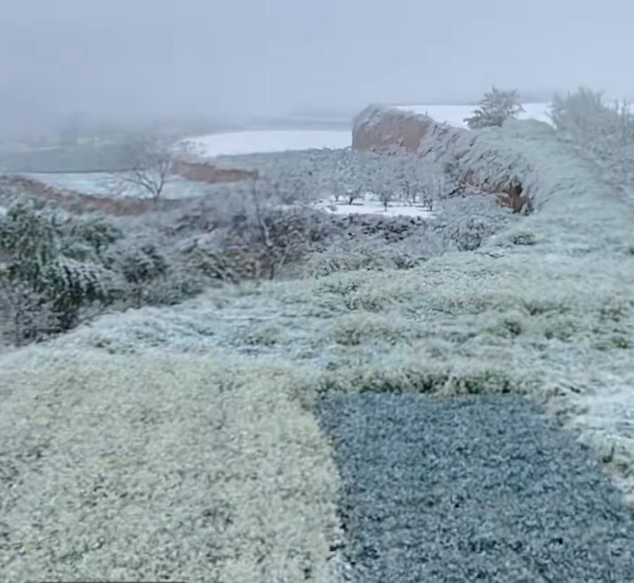 雪打菜籽花，麦打石七八。谷雨后的这场大雪，预示着今年的夏粮要大丰收了。风调