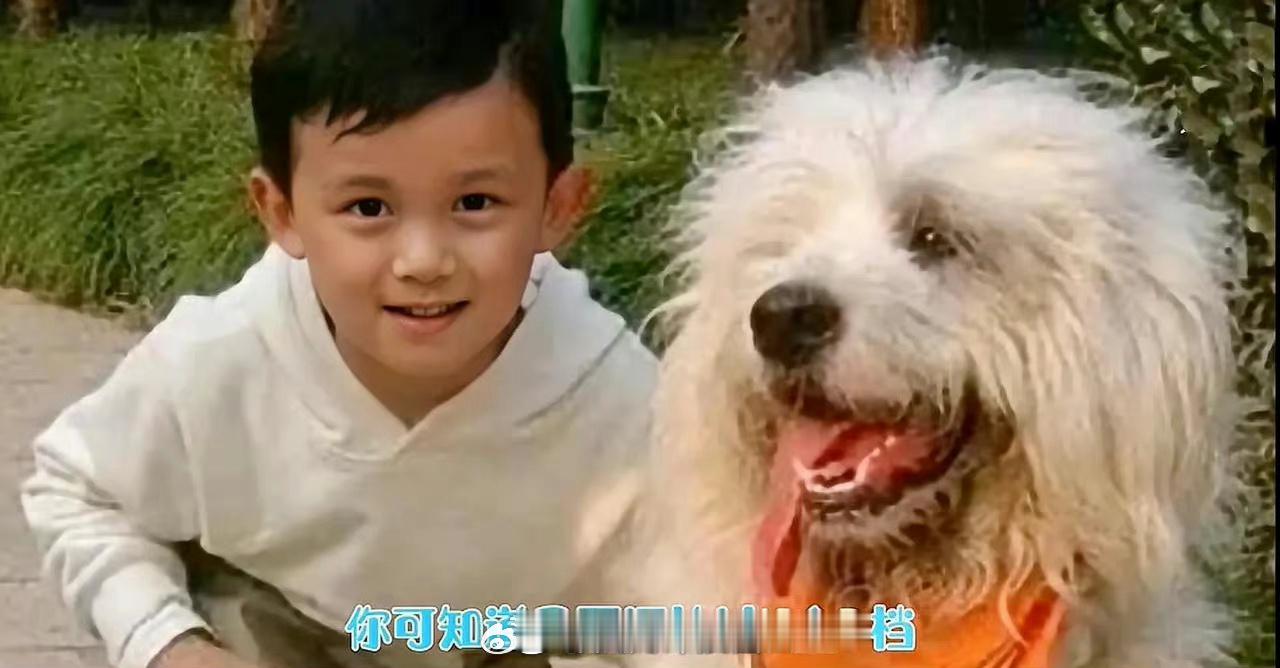 小时候电视上天天播，这记得这条狗，原来这个广告里这么多明星​​​