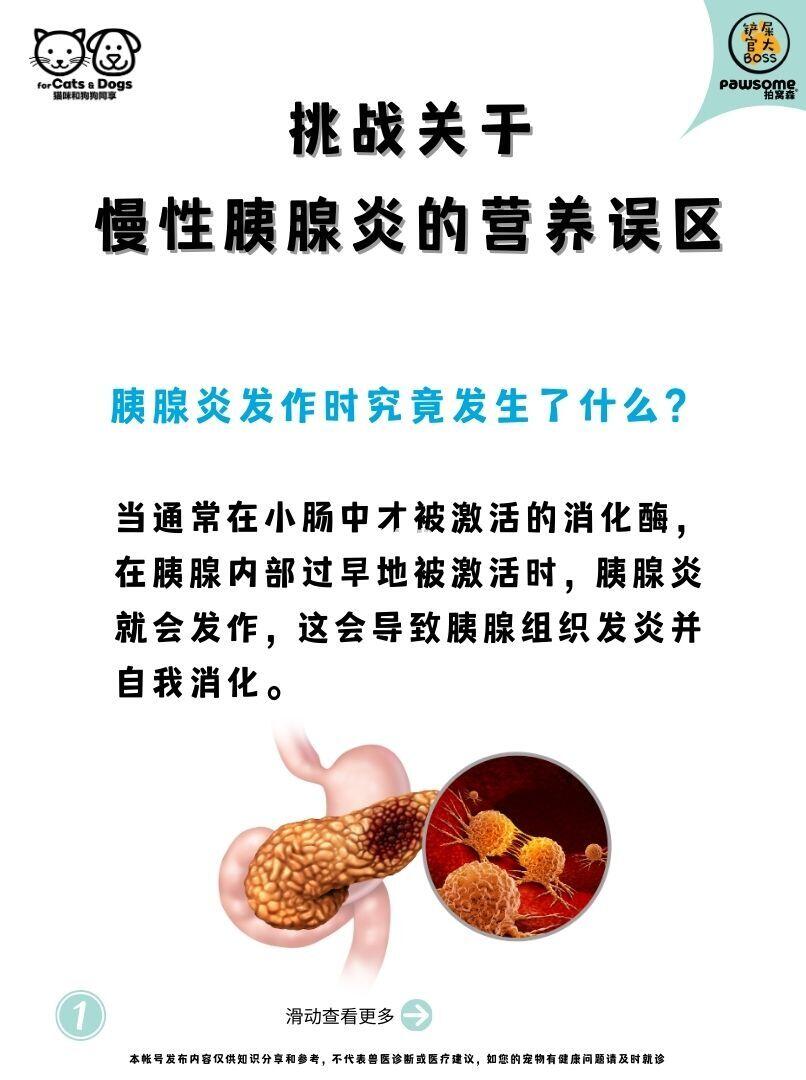 挑战关于慢性胰腺炎的营养误区