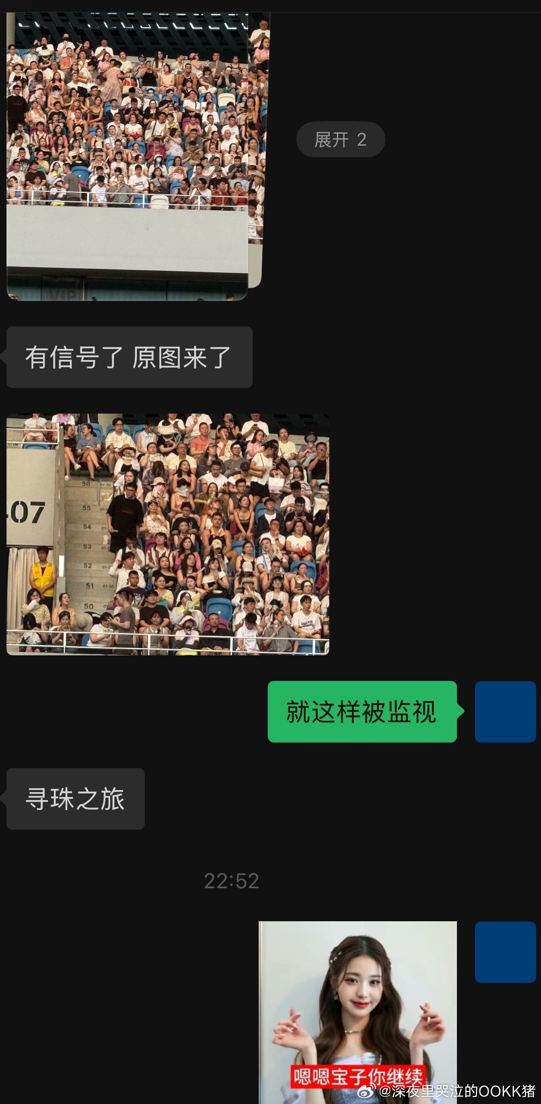 秘密警察在蔡依林演唱会监视我