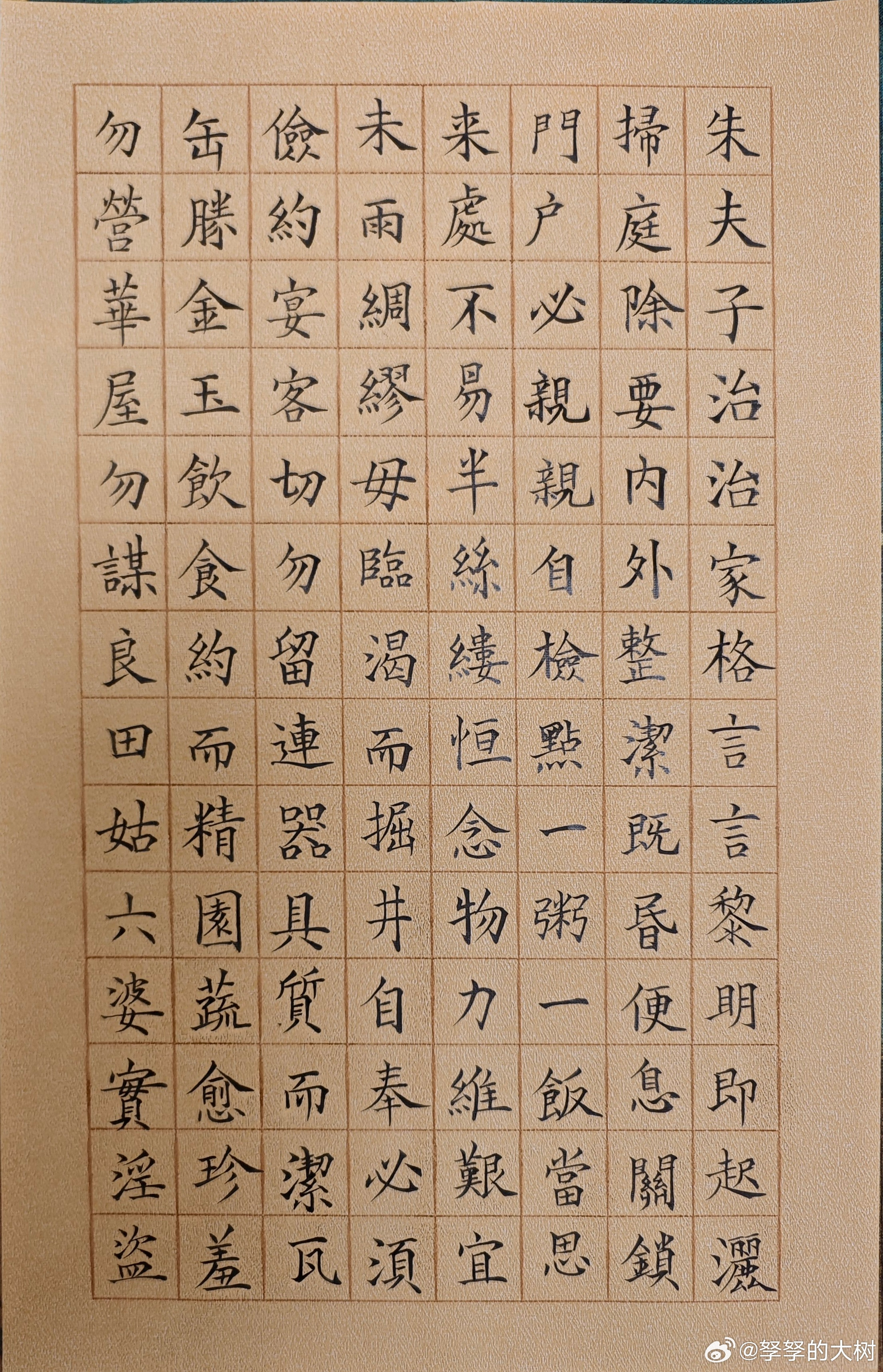 毛笔小楷，打卡～​​​