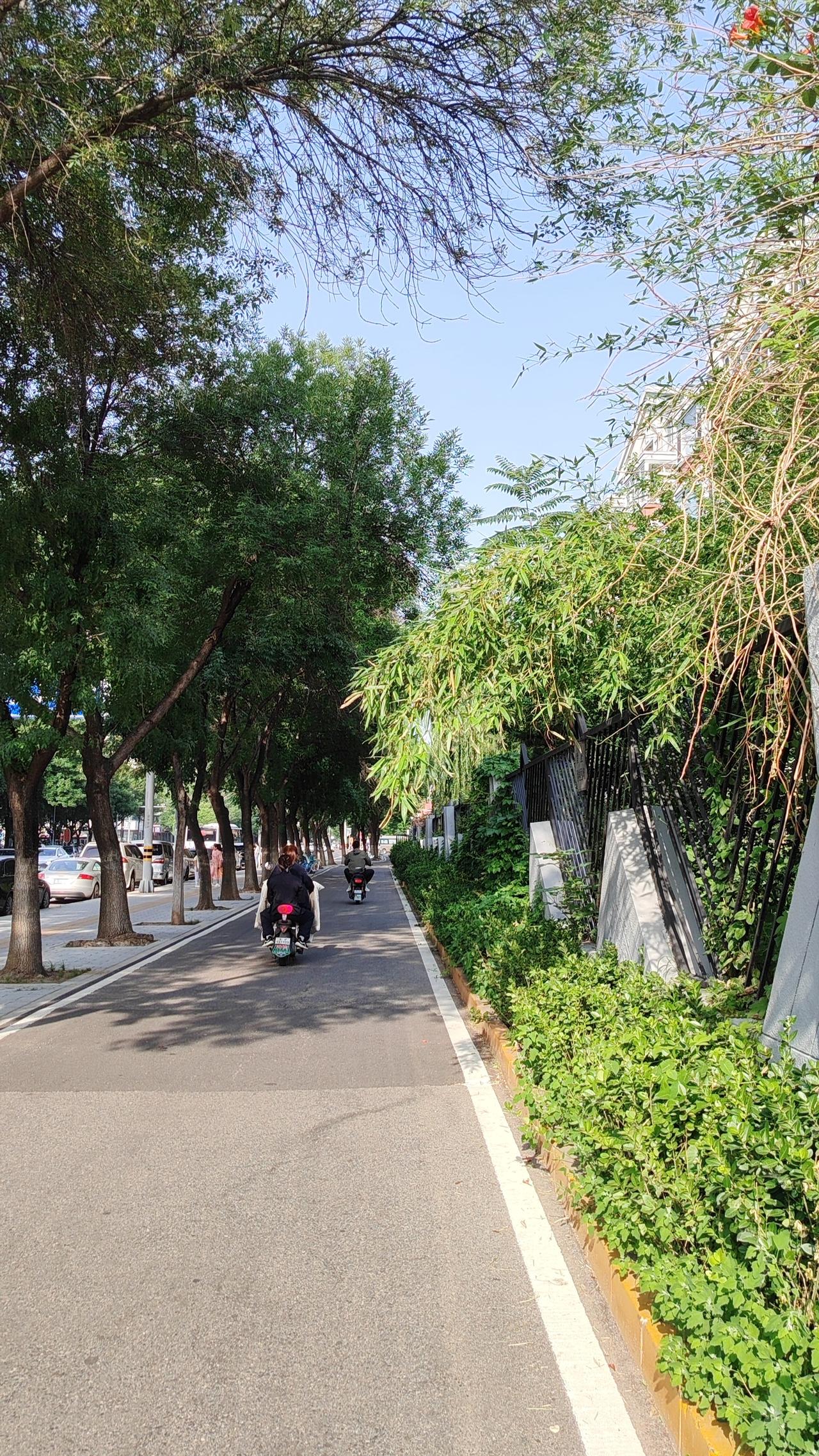 我认为不支持小学生戴电话手表上学，本是家长为求“安全不失联”的无奈之举，如今却