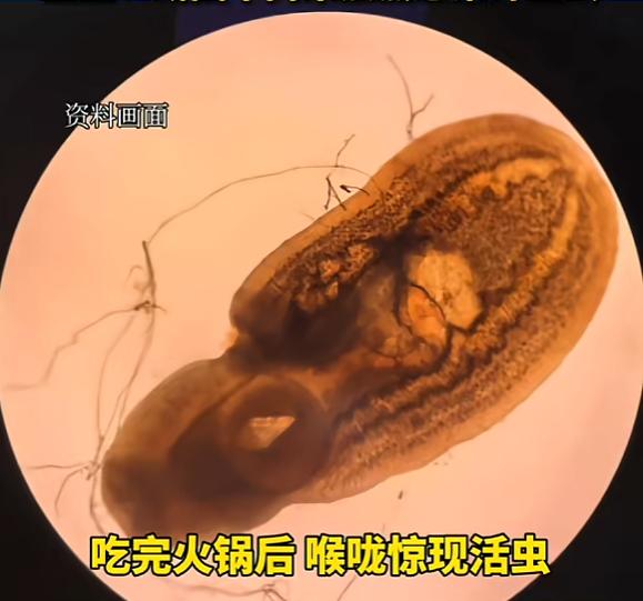 “太吓人了！”近日，湖北襄阳，一女子吃火锅时，觉得牛肉煮太久了不新鲜，于是在锅内