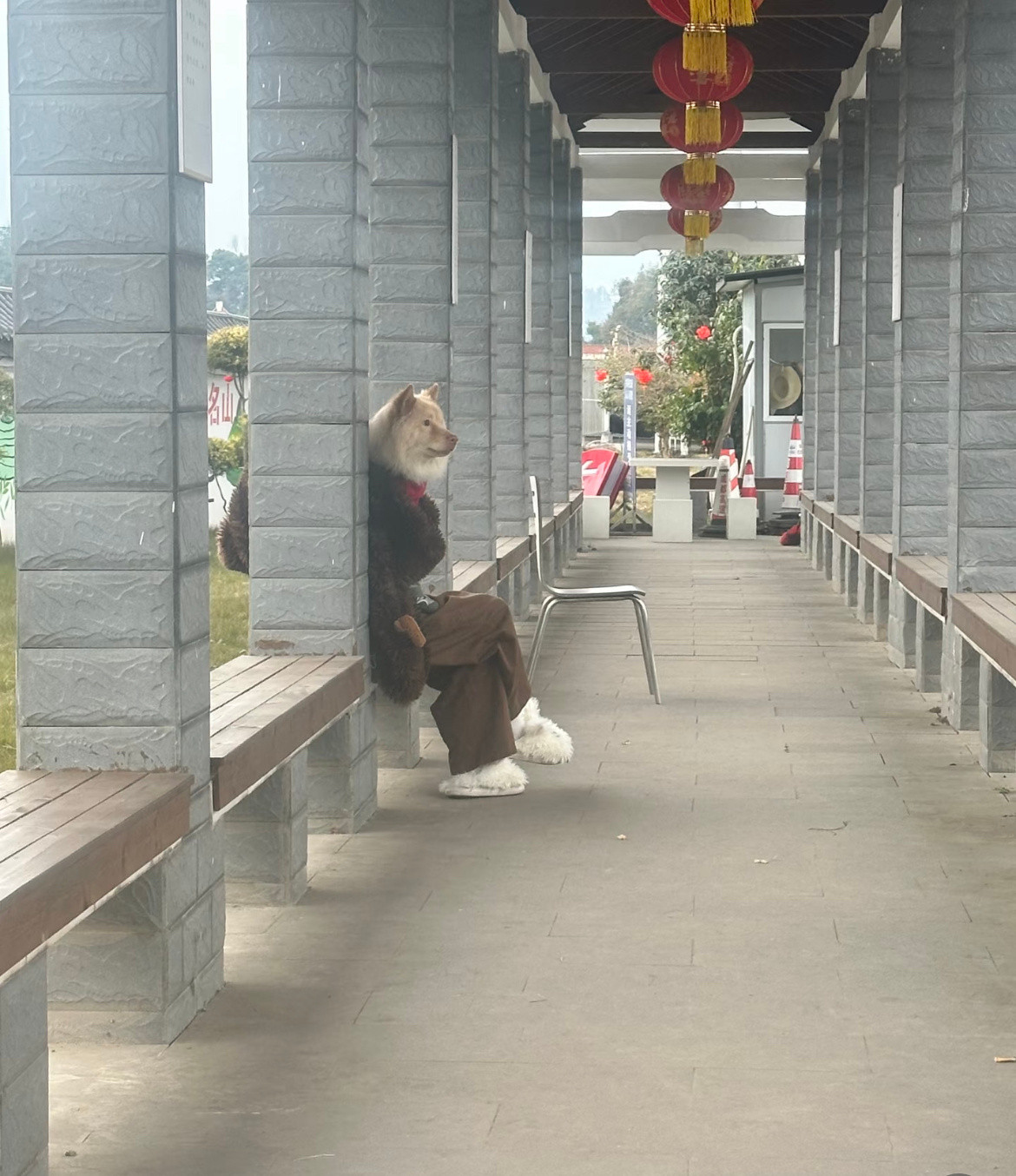 哈哈哈哈哈人模狗样具象化了