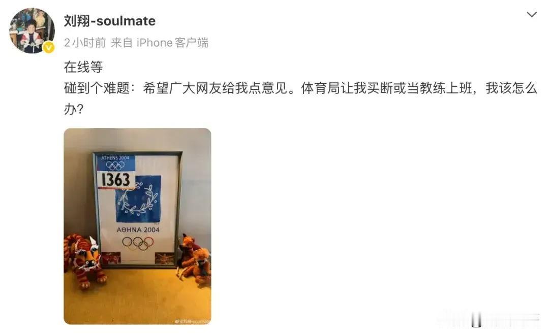 下海还是上岸：奥运冠军刘翔面对“买断或上班”岔路口哪怕是为国争光的“飞人”，