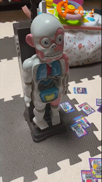 小侄女的人体模型玩具!放错一个器官，就会爆炸把所有的器官都喷出