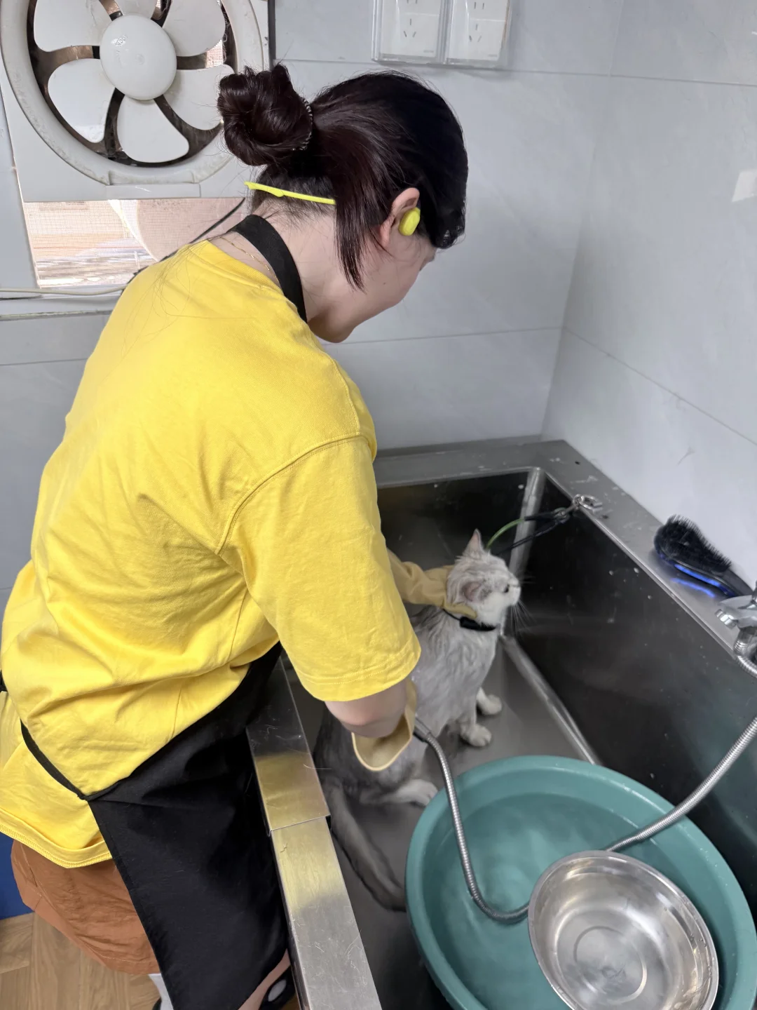 洗猫工人上线