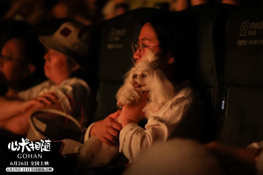 电影心犬相随首映礼电影心犬相随都说好看的含金量电影《心犬相随》首映礼收官！《天