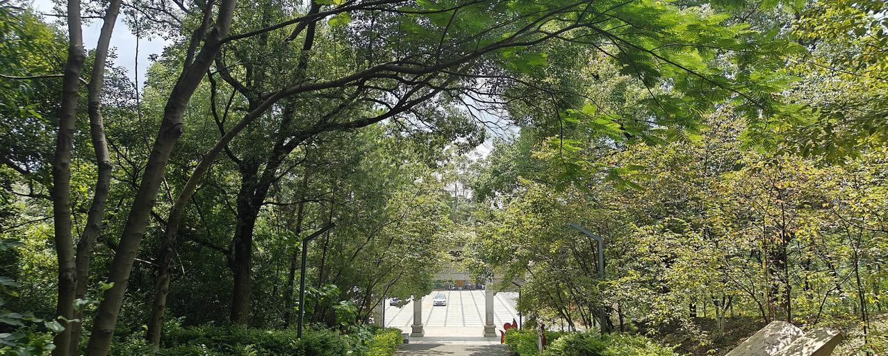 县政府办公室主任到乡镇担任一把手，肯定是组织有意培养，而如果转任县局局长，则可能